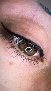 20D35F58-2B3D-4C3B-8E48-67D498ACCC74